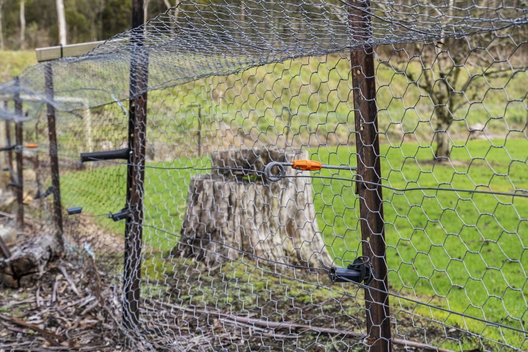 1915 Nubeena Road, Nubeena, TAS, 7184