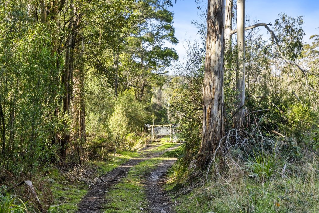 1915 Nubeena Road, Nubeena, TAS, 7184