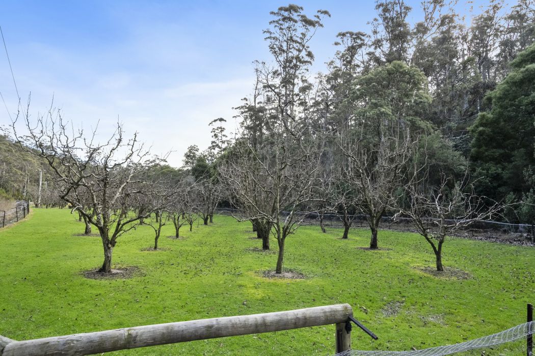1915 Nubeena Road, Nubeena, TAS, 7184