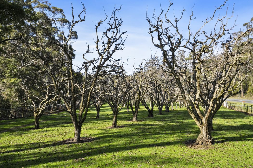 1915 Nubeena Road, Nubeena, TAS, 7184