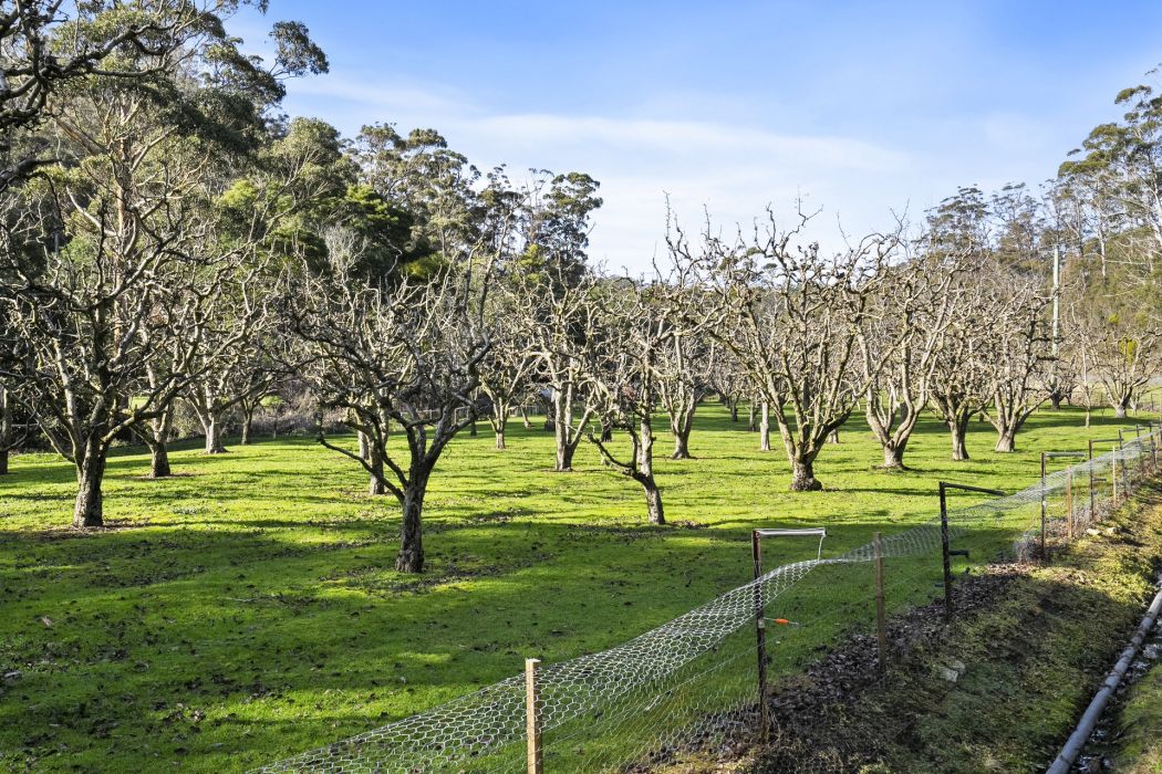 1915 Nubeena Road, Nubeena, TAS, 7184