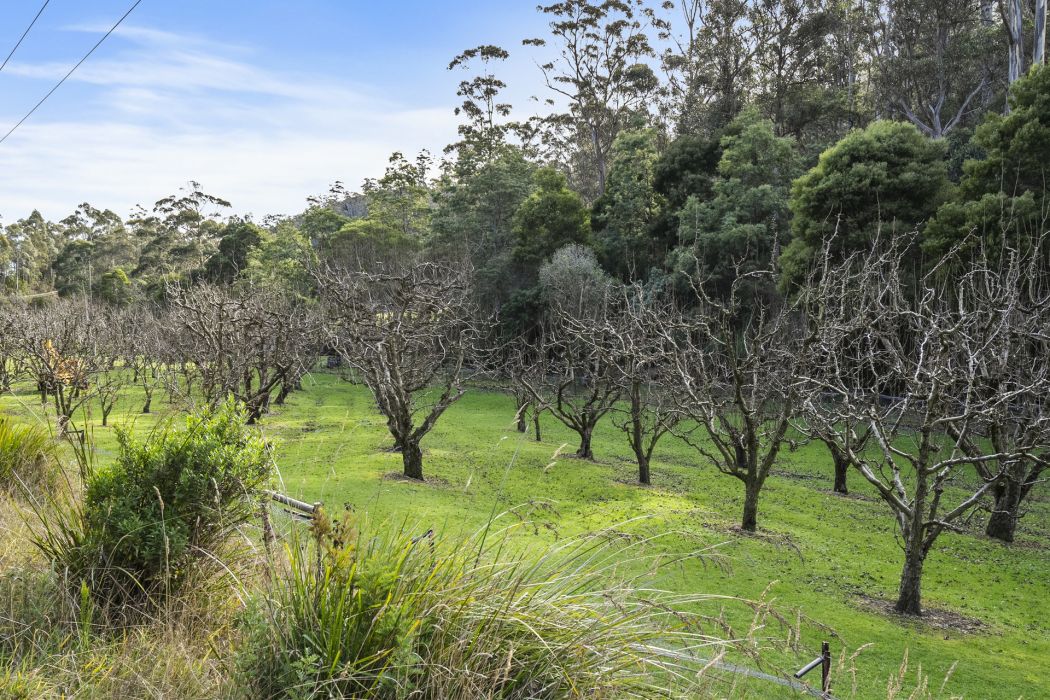 1915 Nubeena Road, Nubeena, TAS, 7184