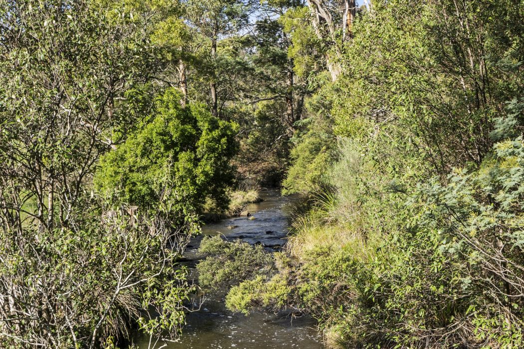 1915 Nubeena Road, Nubeena, TAS, 7184