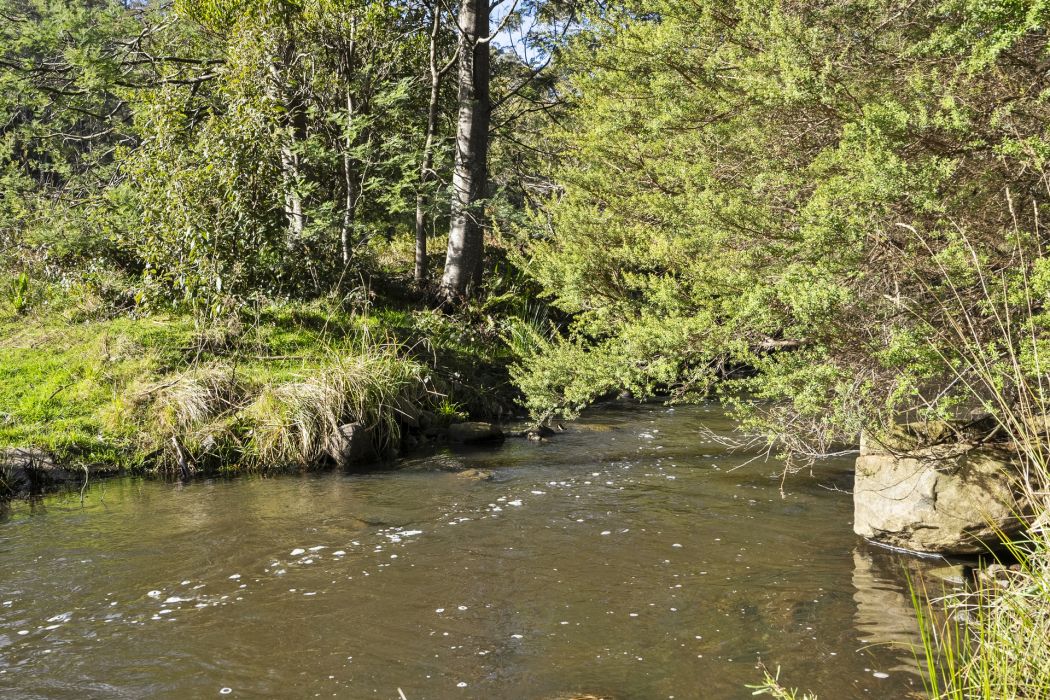 1915 Nubeena Road, Nubeena, TAS, 7184