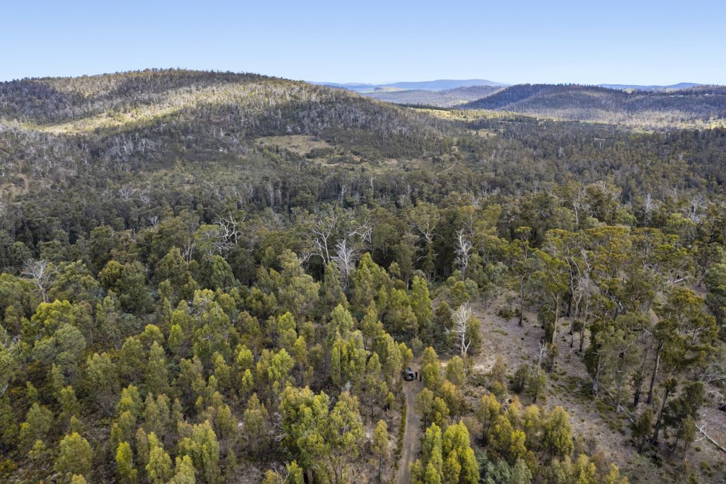 Lot 5 White Hill Road, Forcett, TAS, 7173