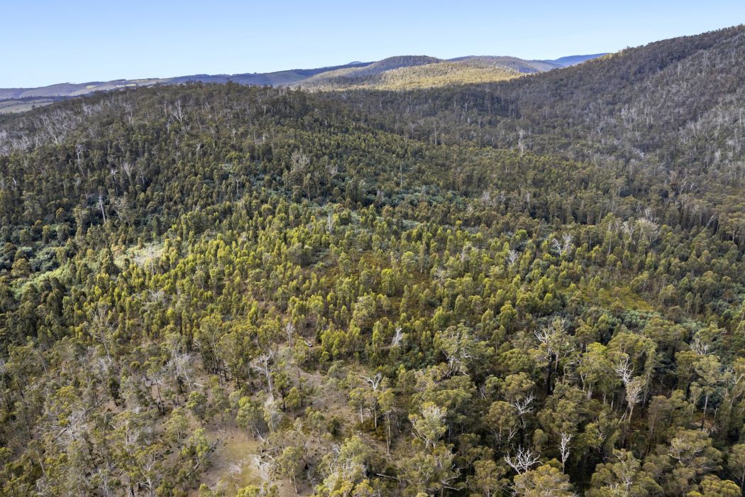 Lot 5 White Hill Road, Forcett, TAS, 7173