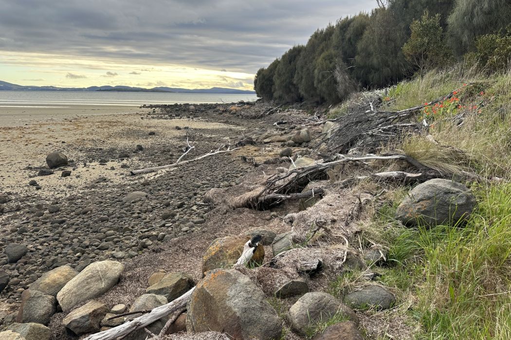 5 Spotswood Road, Dunalley, TAS, 7177