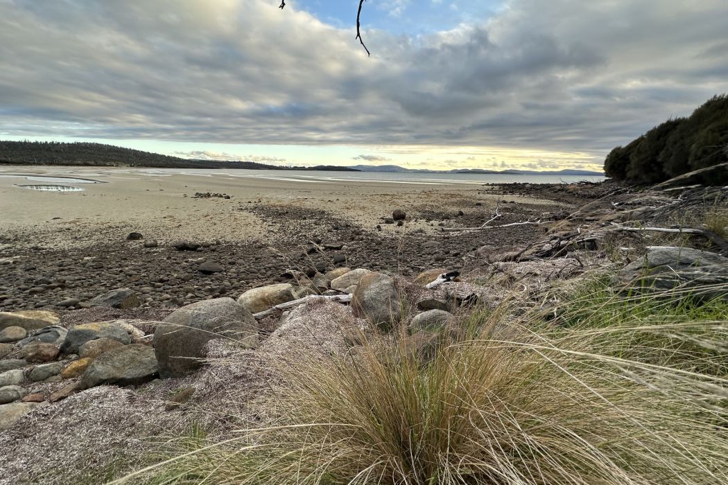 5 Spotswood Road, Dunalley, TAS, 7177