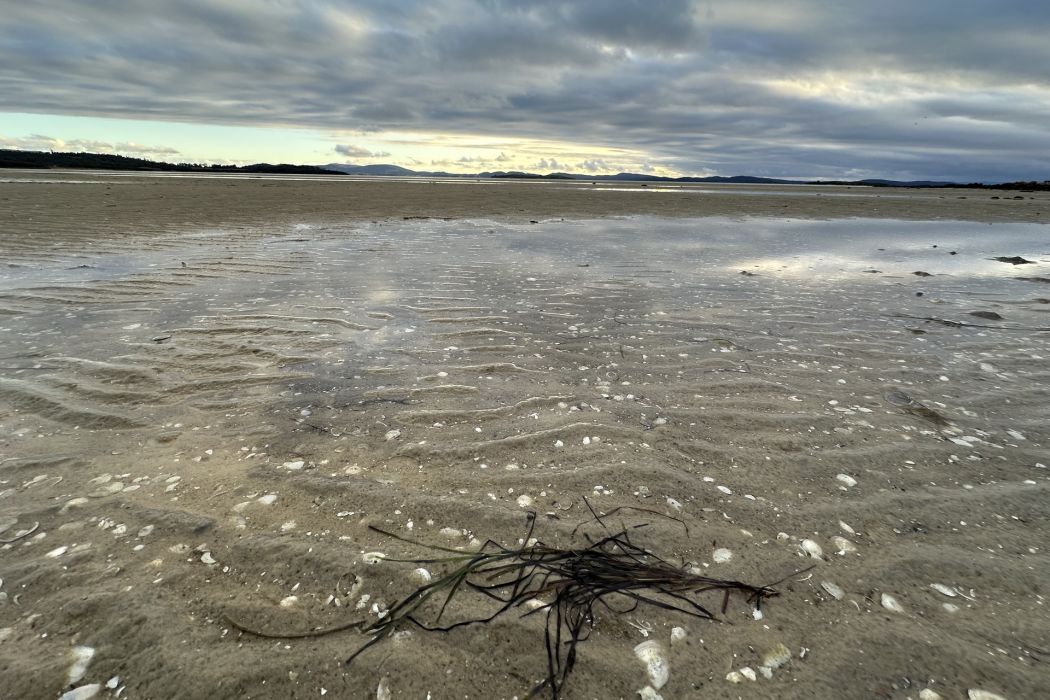 5 Spotswood Road, Dunalley, TAS, 7177