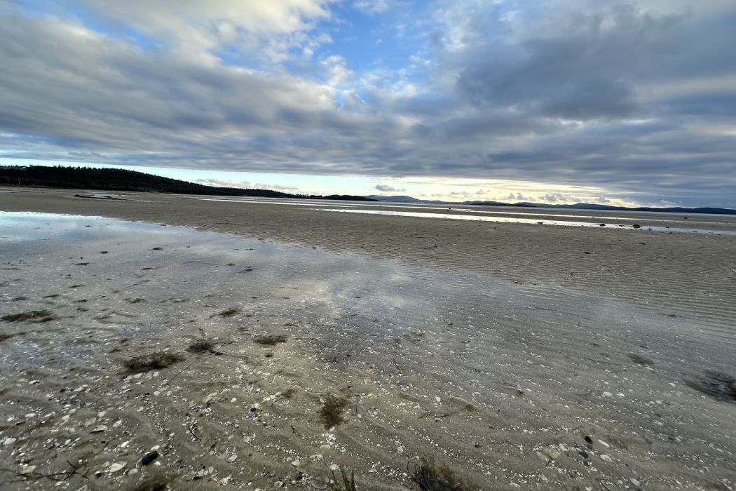 5 Spotswood Road, Dunalley, TAS, 7177