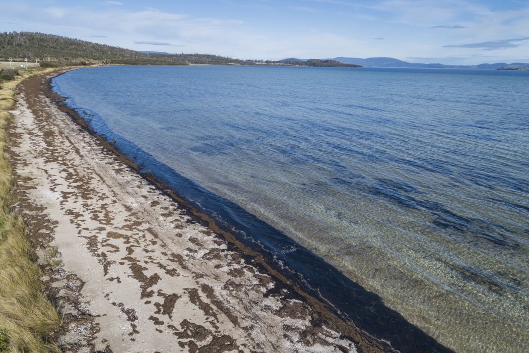 5 Spotswood Road, Dunalley, TAS, 7177