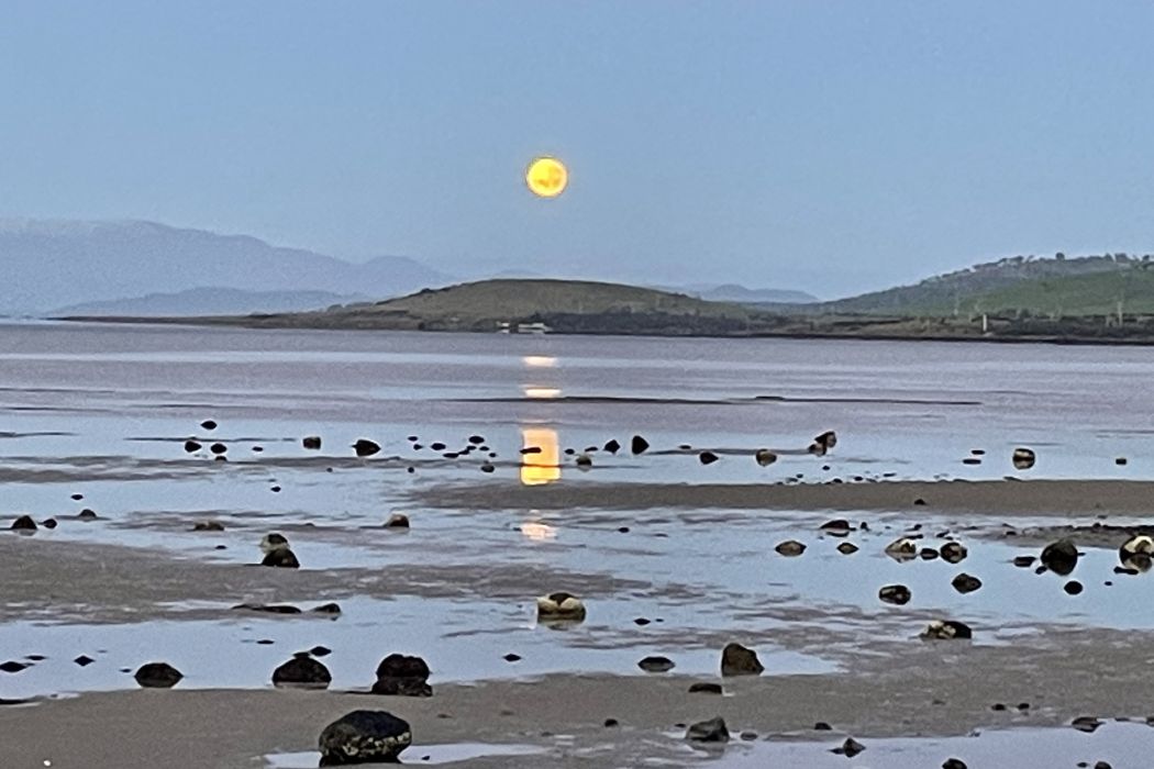 5 Spotswood Road, Dunalley, TAS, 7177