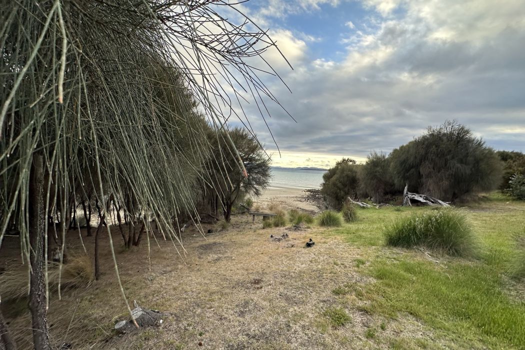 5 Spotswood Road, Dunalley, TAS, 7177