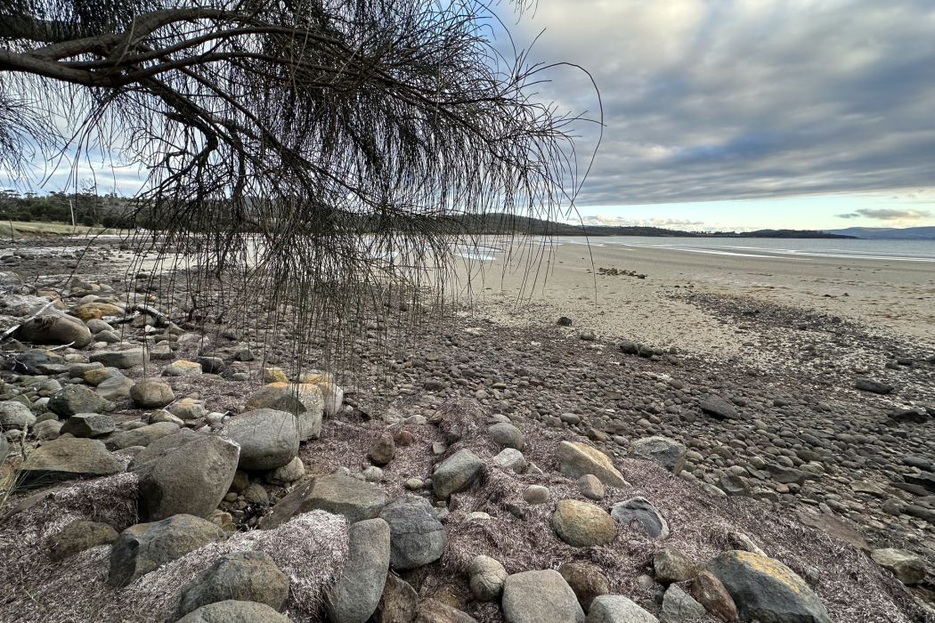 5 Spotswood Road, Dunalley, TAS, 7177