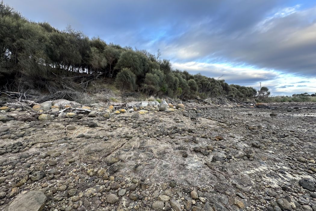 5 Spotswood Road, Dunalley, TAS, 7177