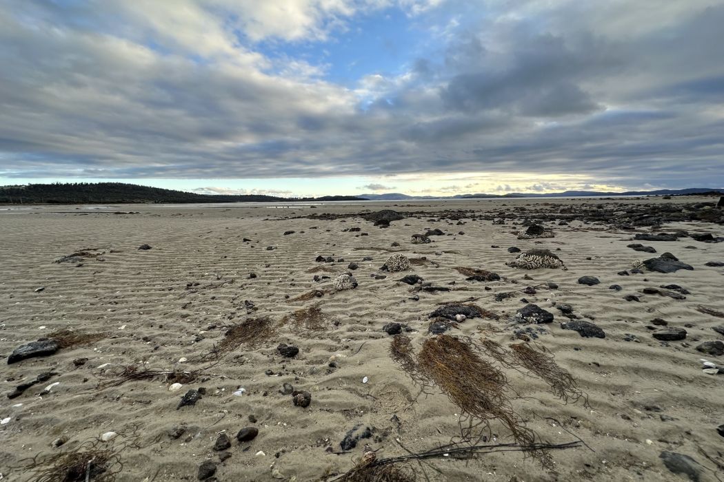 5 Spotswood Road, Dunalley, TAS, 7177