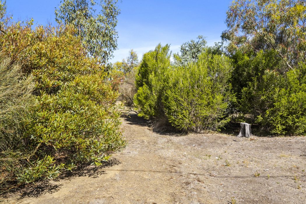 5 Spotswood Road, Dunalley, TAS, 7177