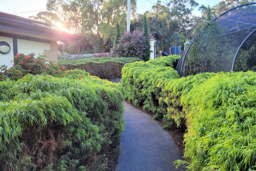 23 Susans Bay Road, Primrose Sands, TAS, 7173