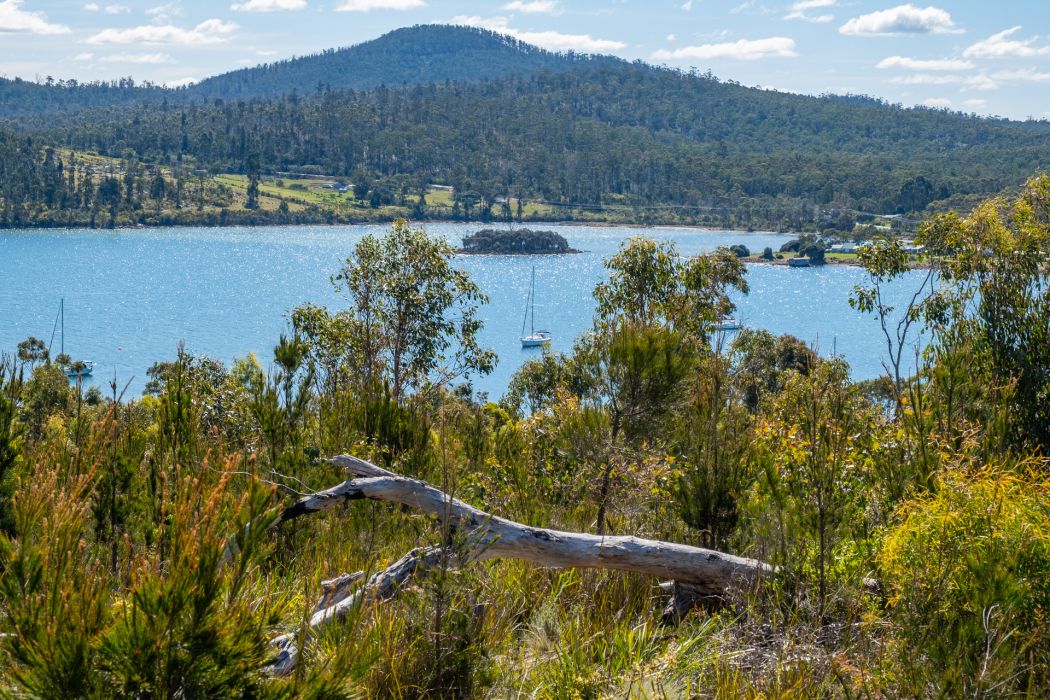 24 Pahi Rise, Murdunna, TAS, 7178