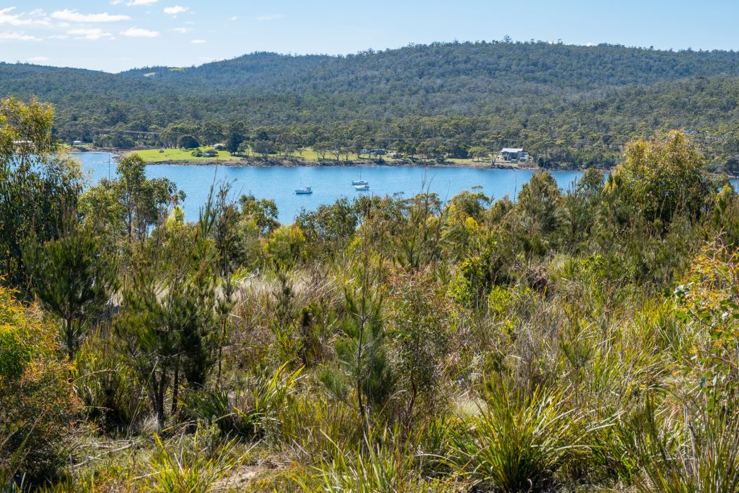 24 Pahi Rise, Murdunna, TAS, 7178