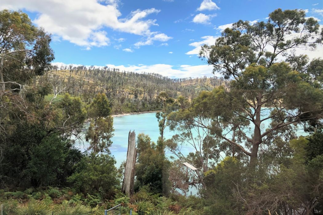 83 Susans Bay Road, Primrose Sands, TAS, 7173