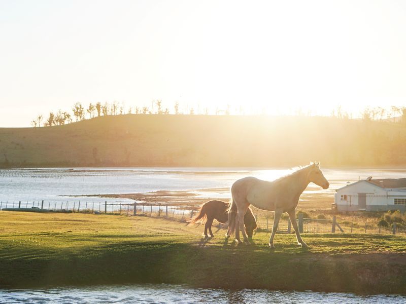 107 Arthur Highway, DUNALLEY, TAS, 7177