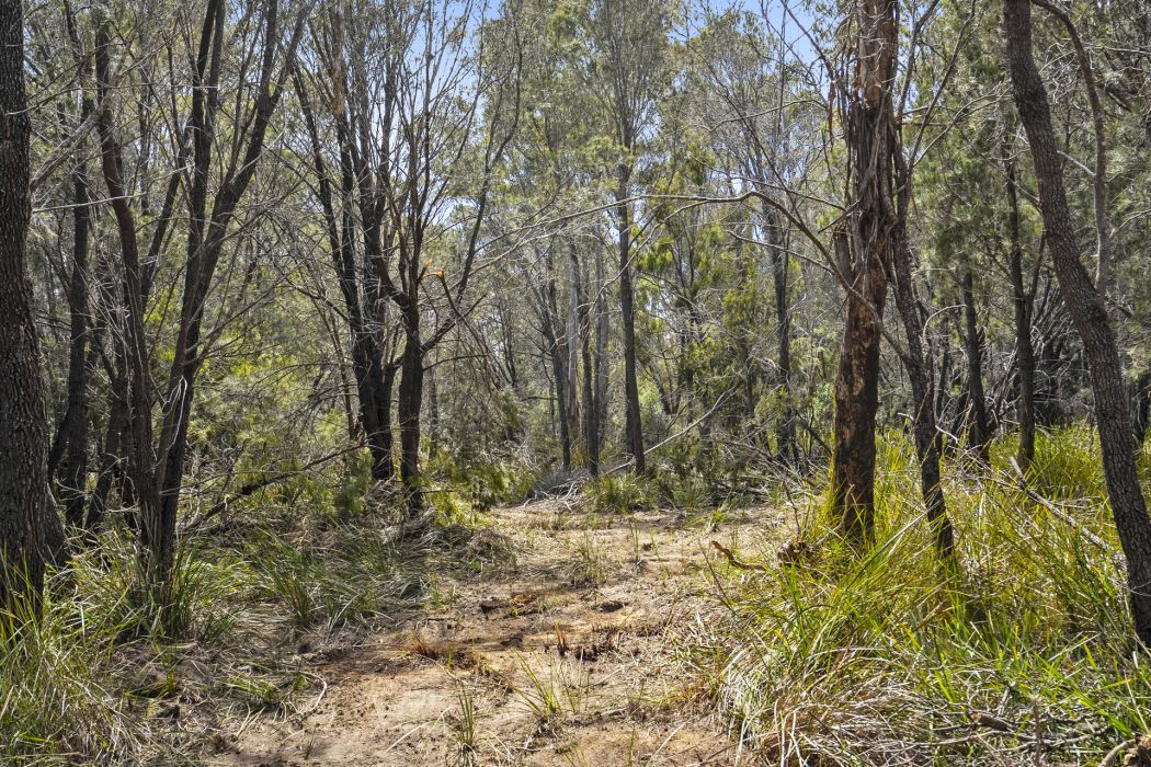 3937 Arthur Highway, Murdunna, TAS, 7178