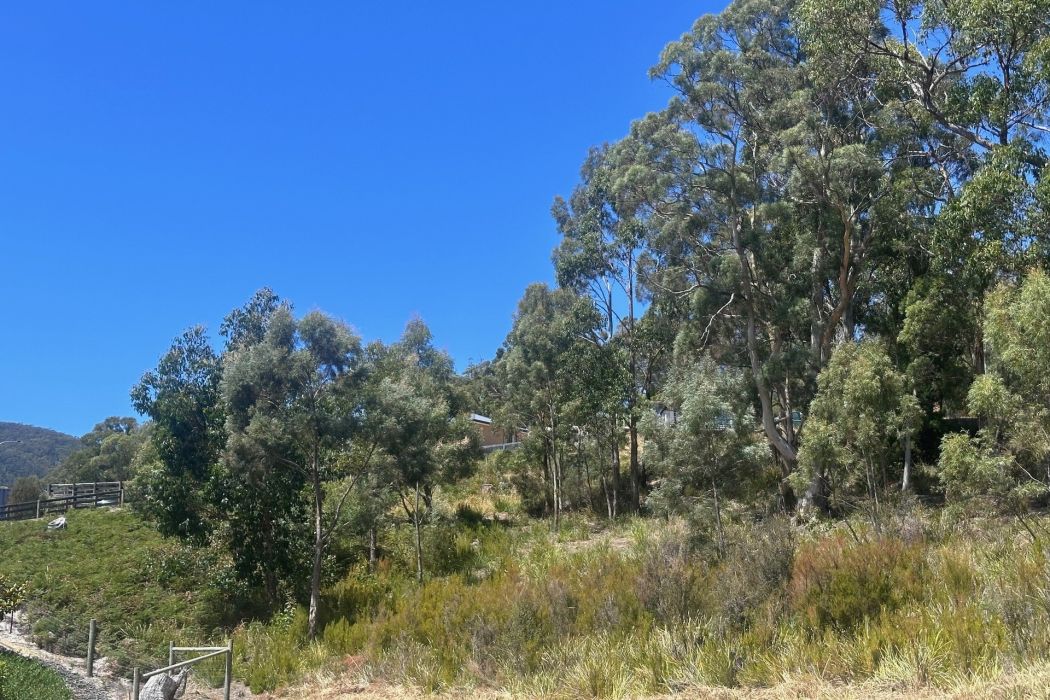 16 Jennings Crescent, Nubeena, TAS, 7184