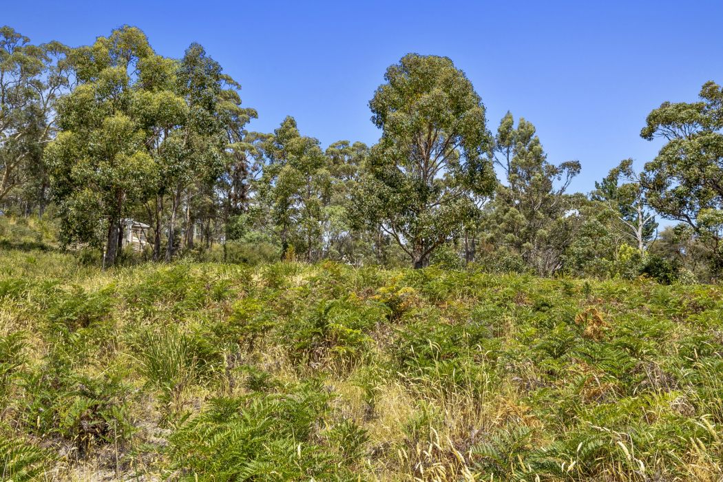 16 Jennings Crescent, Nubeena, TAS, 7184
