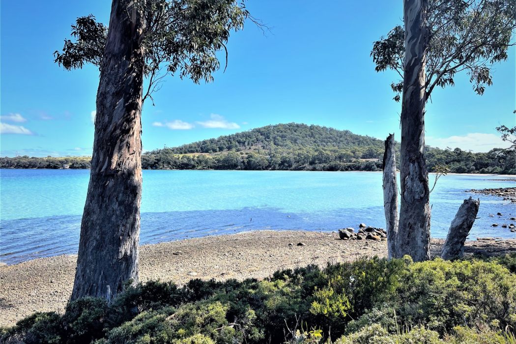 661 Sommers Bay Road, Murdunna, TAS, 7178