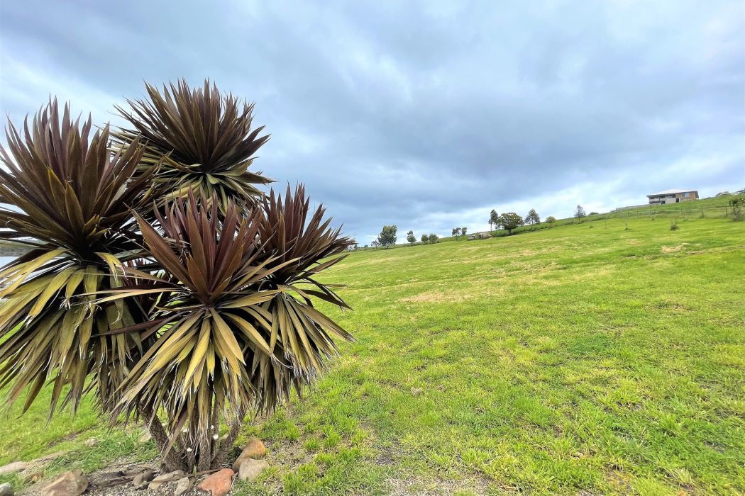 5 Baudin Court, Carlton, TAS, 7173