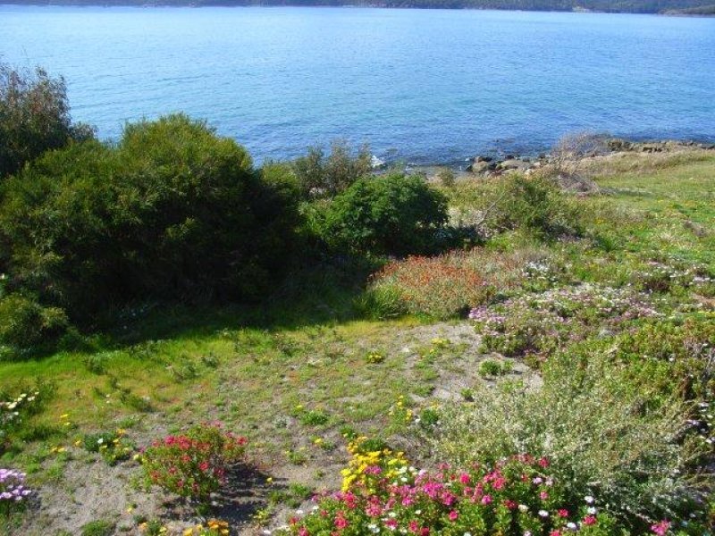 572 White Beach Road, WHITE BEACH, TAS, 7184