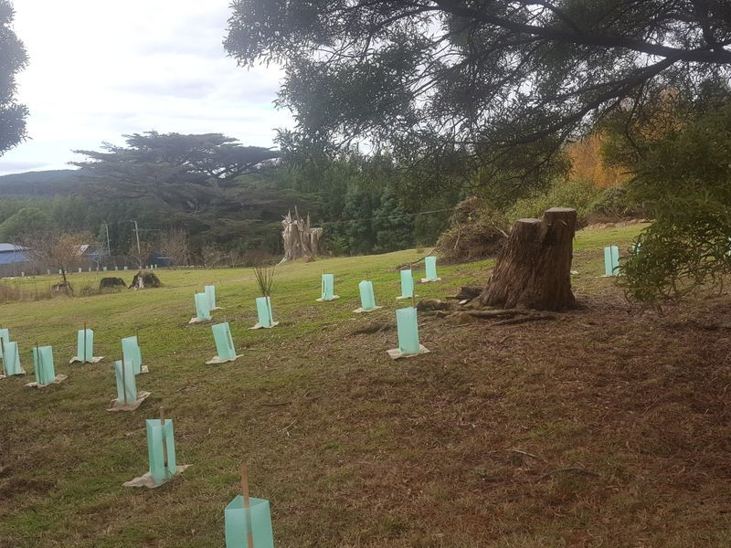 96 Radnor Road, PORT ARTHUR, TAS, 7182