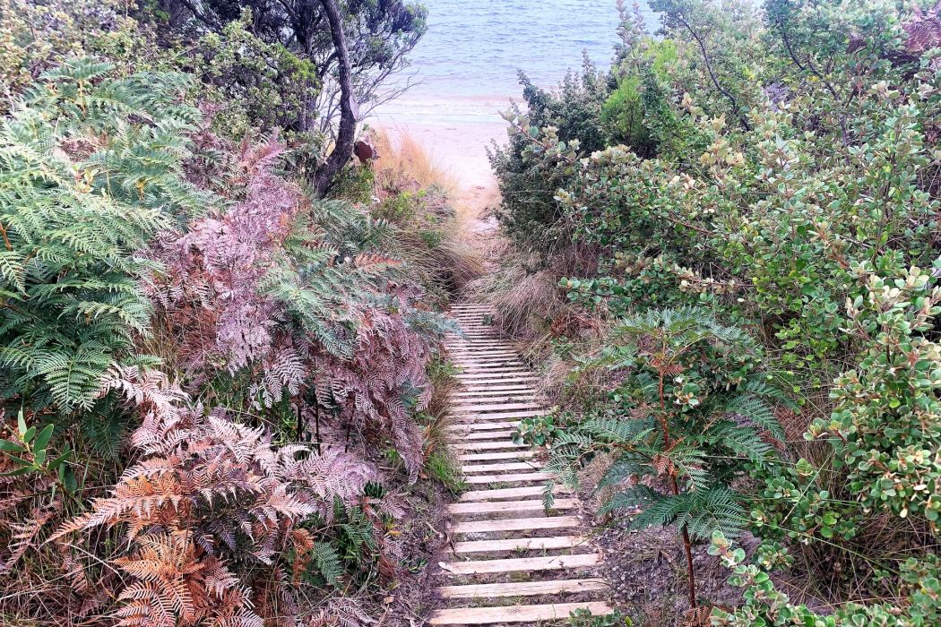 6/309 White Beach Road, White Beach, TAS, 7184