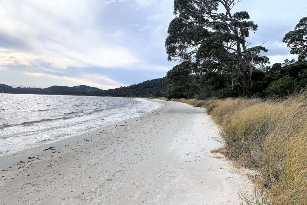 6/309 White Beach Road, White Beach, TAS, 7184