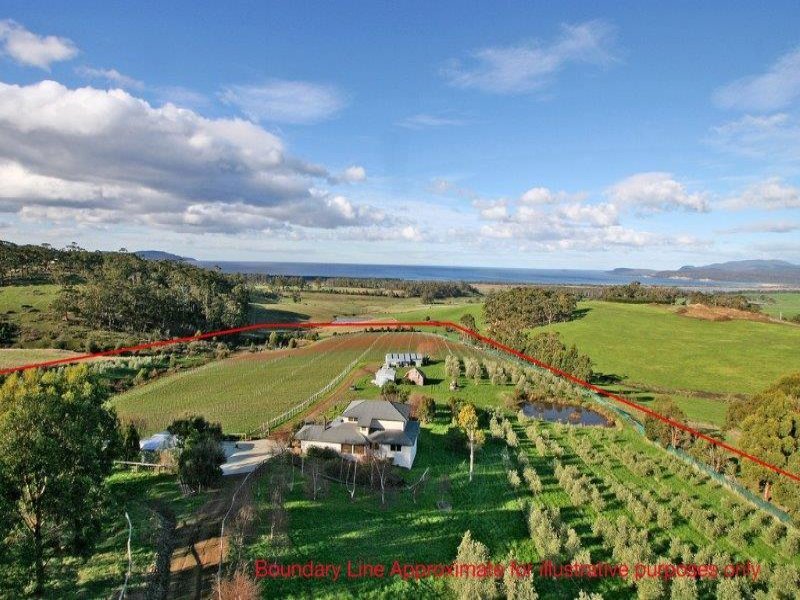 230 Bream Creek Road, BREAM CREEK, TAS, 7175