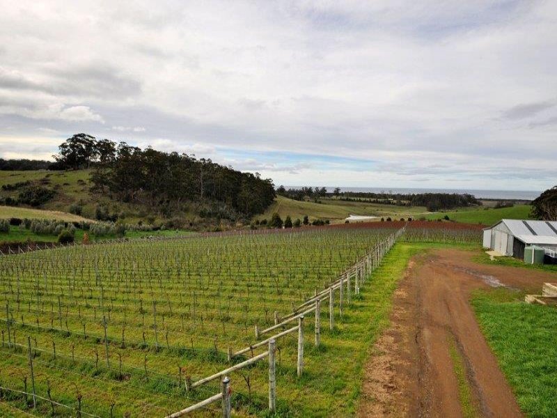230 Bream Creek Road, BREAM CREEK, TAS, 7175