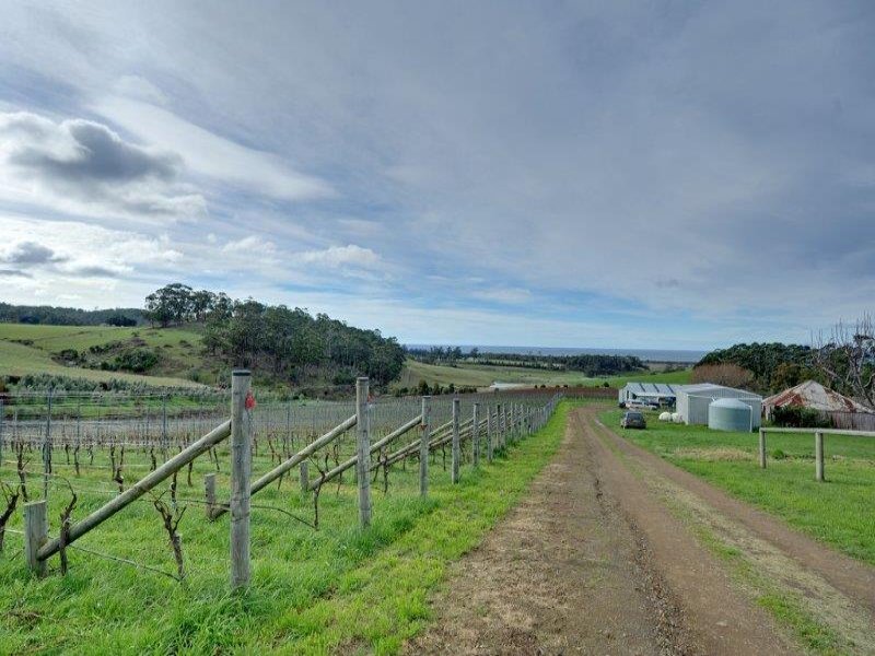 230 Bream Creek Road, BREAM CREEK, TAS, 7175
