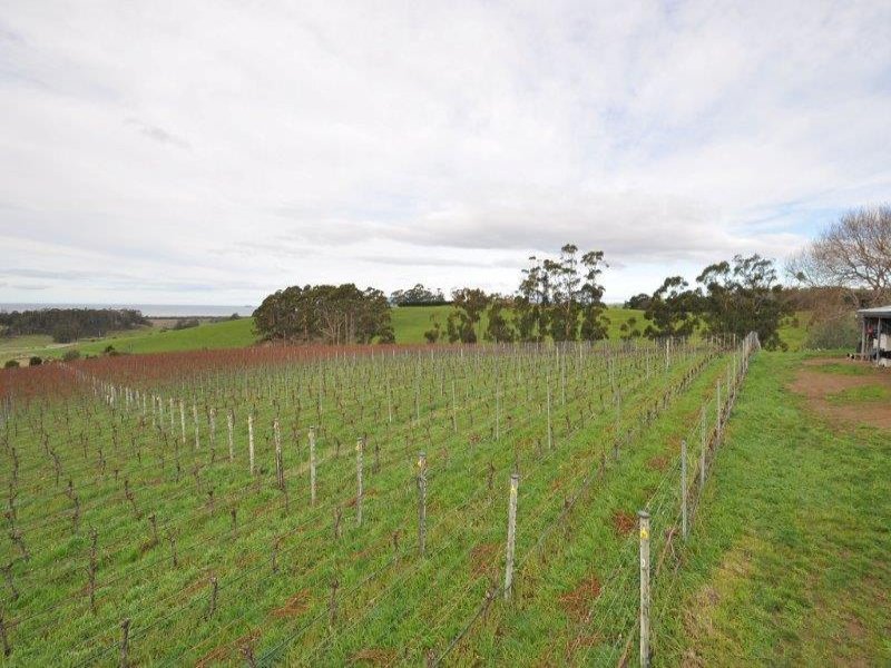 230 Bream Creek Road, BREAM CREEK, TAS, 7175