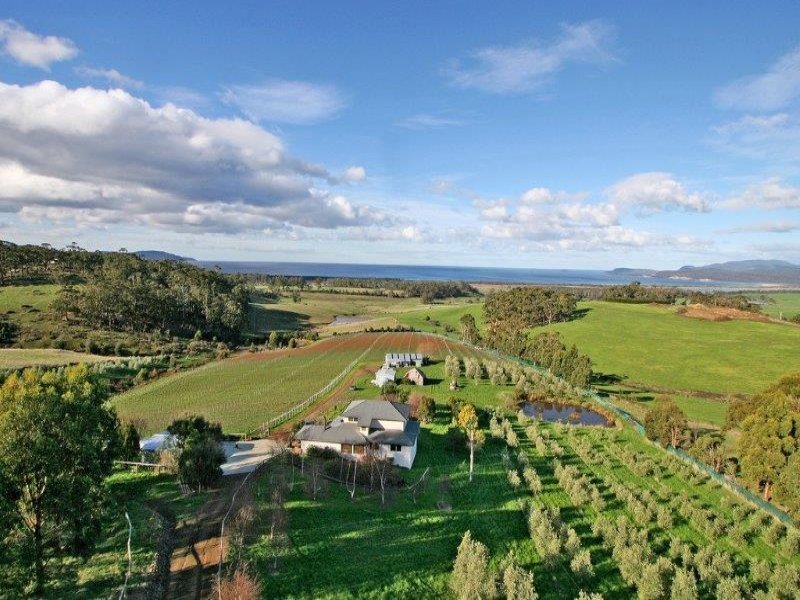 230 Bream Creek Road, BREAM CREEK, TAS, 7175
