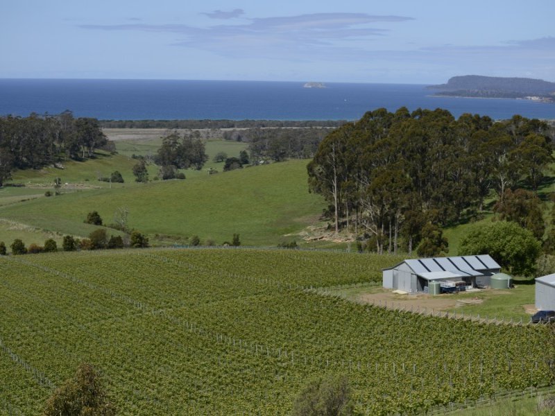 230 Bream Creek Road, BREAM CREEK, TAS, 7175
