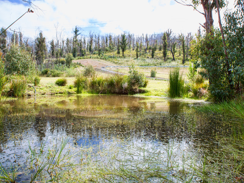 3726 Arthur Highway, MURDUNNA, TAS, 7178