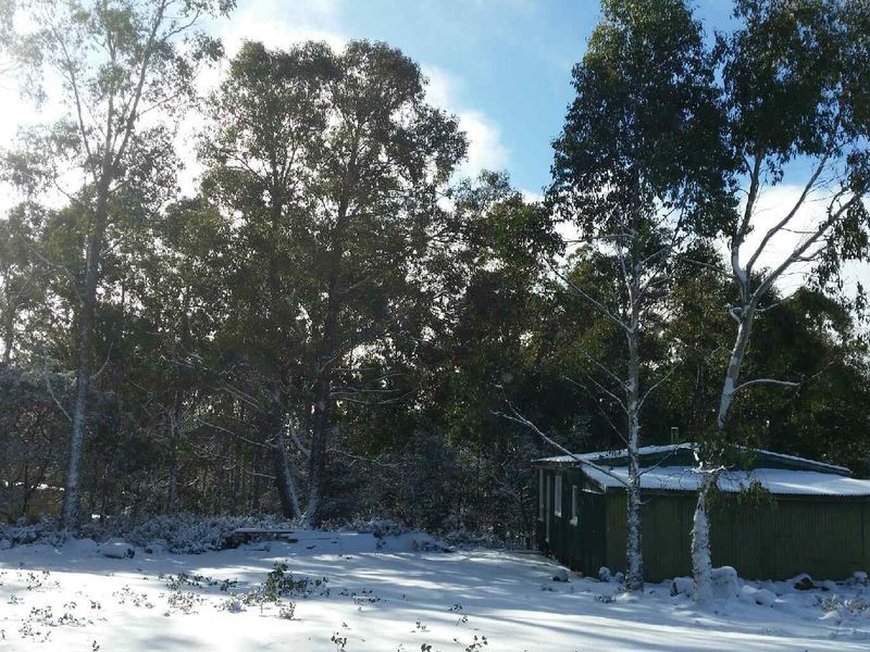 774 Arthurs Lake Road, ARTHURS LAKE, TAS, 7030