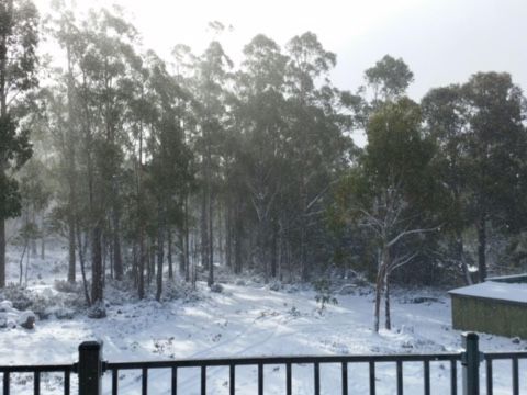 774 Arthurs Lake Road, ARTHURS LAKE, TAS, 7030