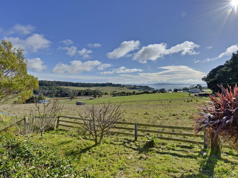 100 Jones Road, PREMAYDENA, TAS, 7185