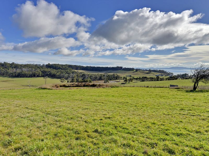 100 Jones Road, PREMAYDENA, TAS, 7185