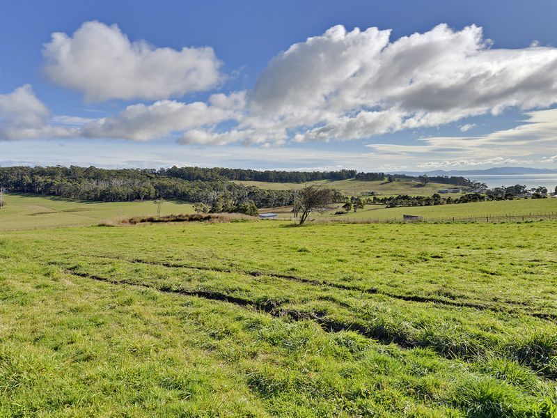 100 Jones Road, PREMAYDENA, TAS, 7185