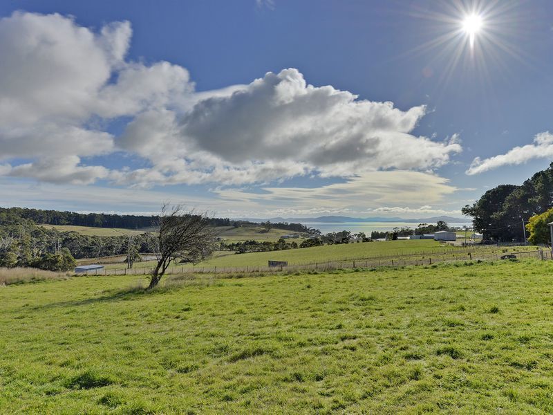 100 Jones Road, PREMAYDENA, TAS, 7185