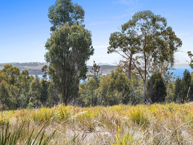 110 Happy Valley Road, SPRING BEACH, TAS, 7190