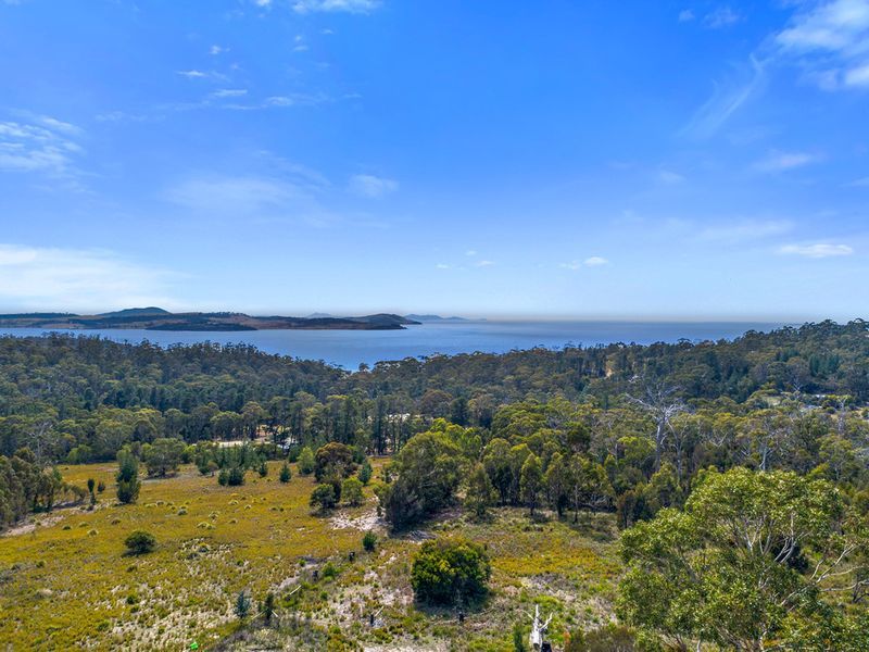 110 Happy Valley Road, SPRING BEACH, TAS, 7190